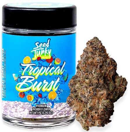 SEED JUNKY: Tropical Burst