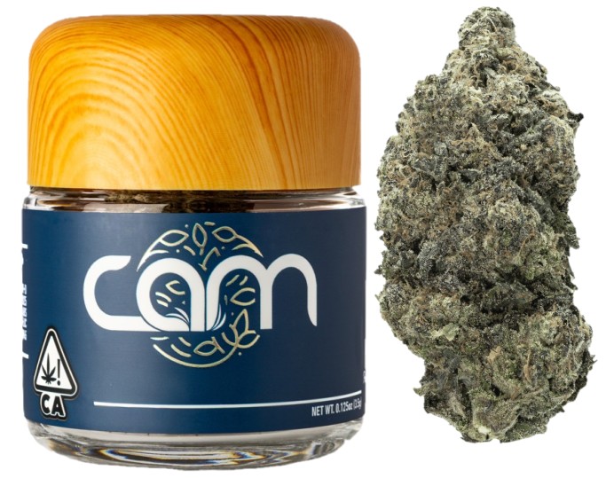 CAM — HASHBURGER -