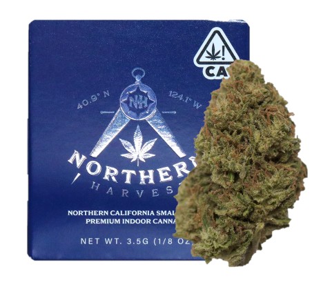 Northern Harvest — BUBBLEGUM DIESEL -