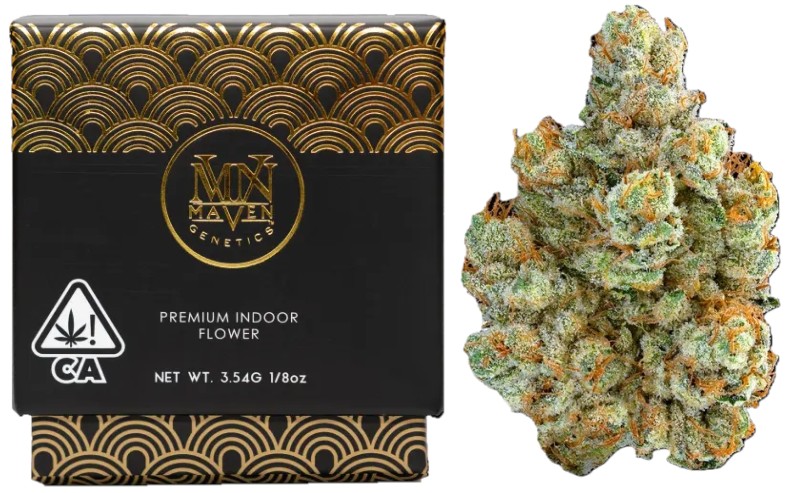 Maven Genetics: SFV OG