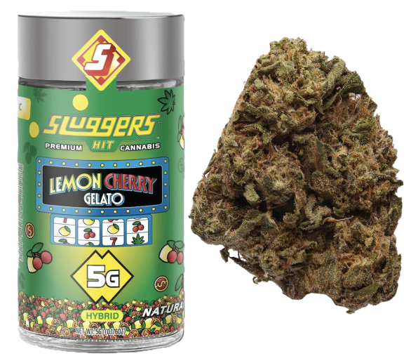 Sluggers — LEMON CHERRY GELATO -