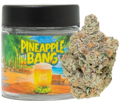 SEED JUNKY: Pineapple Bang