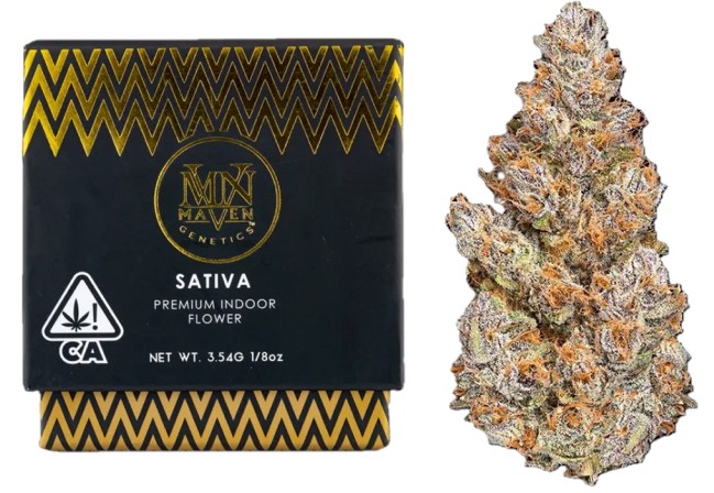Maven Genetics: Bluzangria