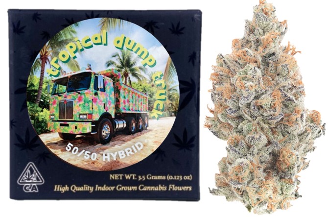 Team Elite Genetics: Tropical Dump Truck