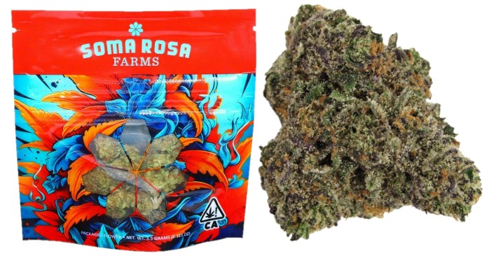 Soma Rosa: Gastro Pop - 3.5