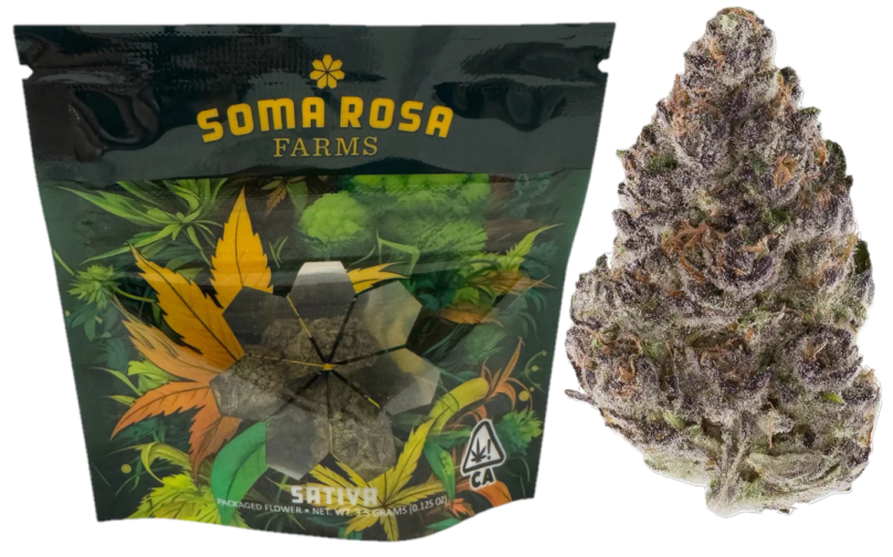 Soma Rosa — TORONJA -