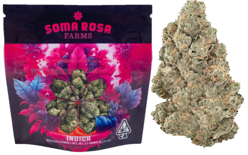 Soma Rosa — BUBBA DIAGONAL X GUSH MINTZ -