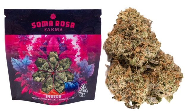 Soma Rosa: Original Glue