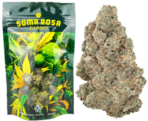 Soma Rosa — TORONJA -