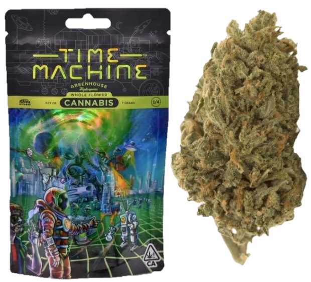 Time Machine — GARLIC OZ -