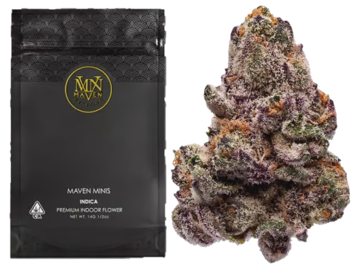 Maven Genetics — 98K -