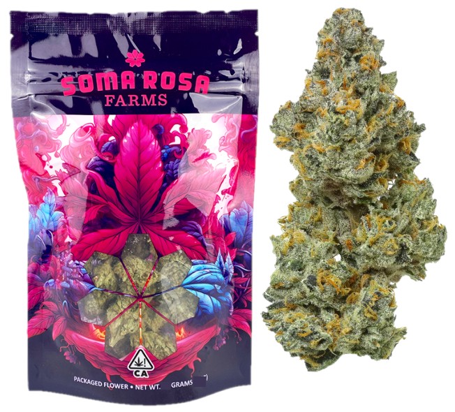 Soma Rosa — BLUE RUNTZ -