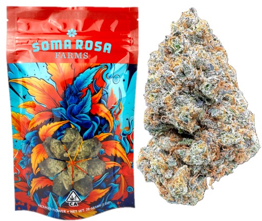 Soma Rosa: Orange Creamsicle