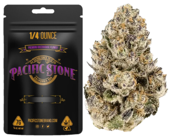 Pacific Stone — POMELO -