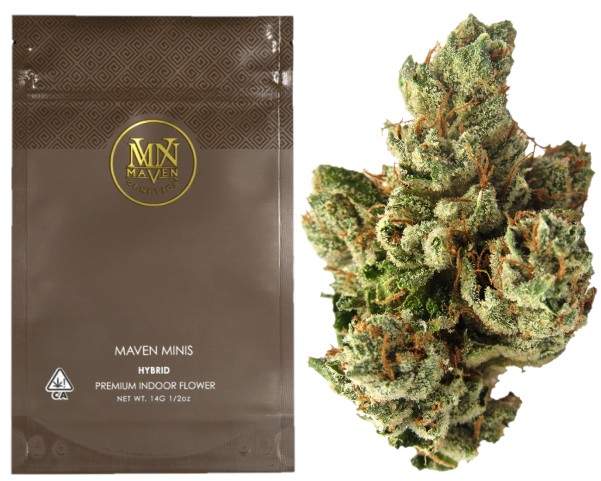 Maven Genetics — SFV OG -