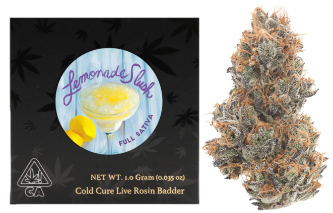 Team Elite Genetics: Lemonade Slush