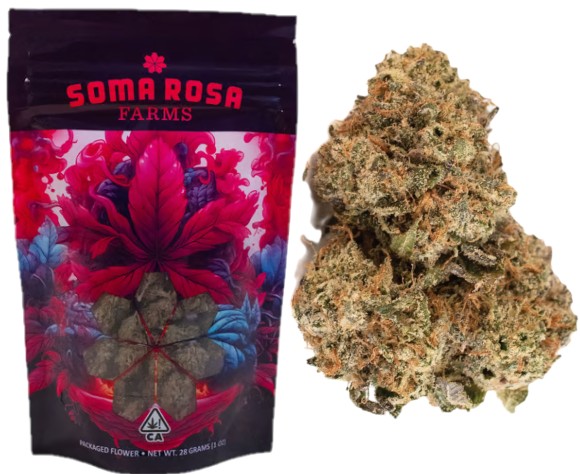 Soma Rosa: Obama Runtz