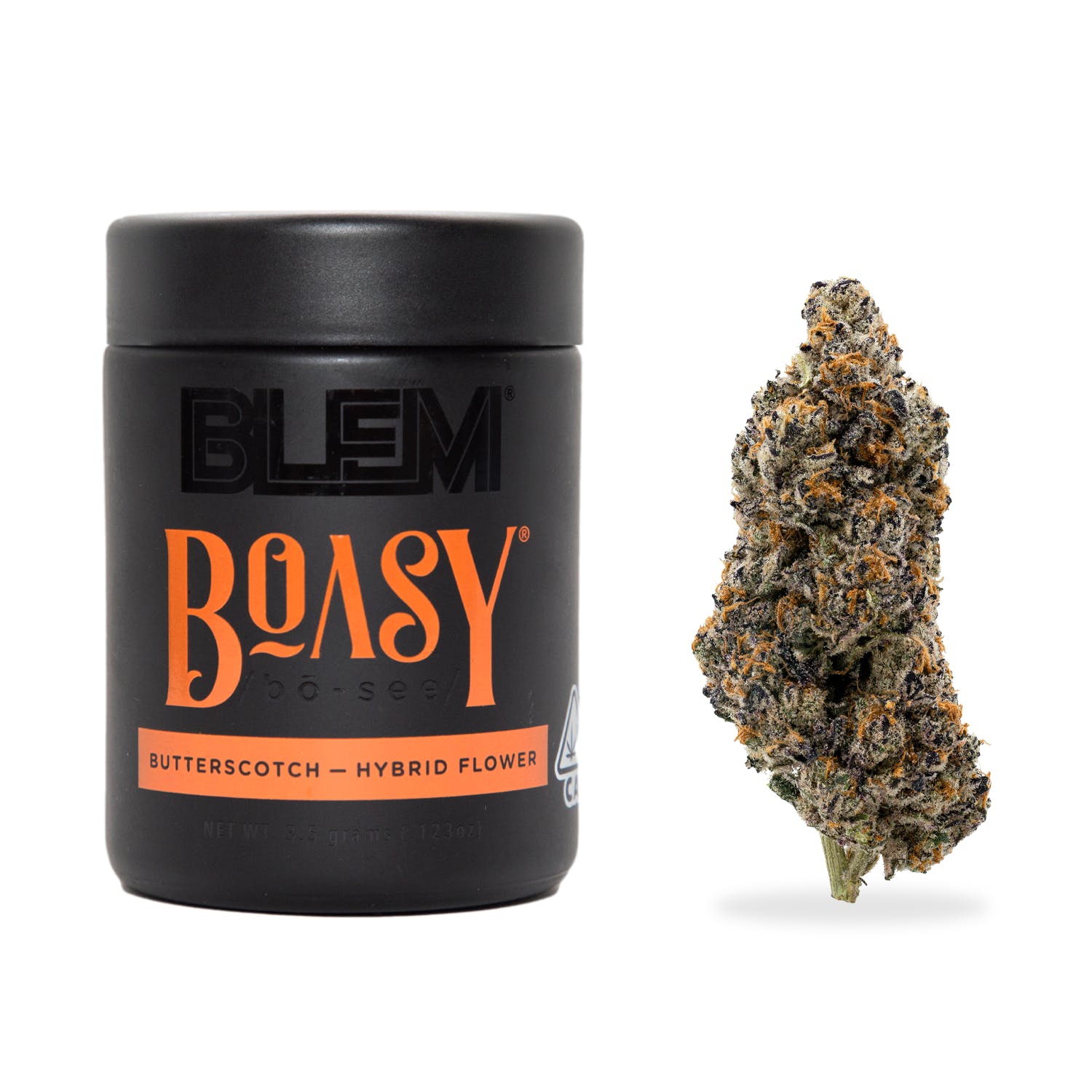 BLEM — BOASY -