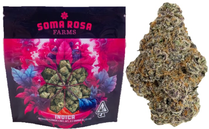 Soma Rosa: Glitter Bomb