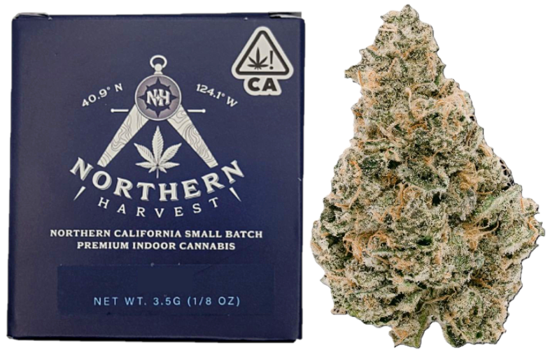 Northern Harvest — KEY LIME JACK -