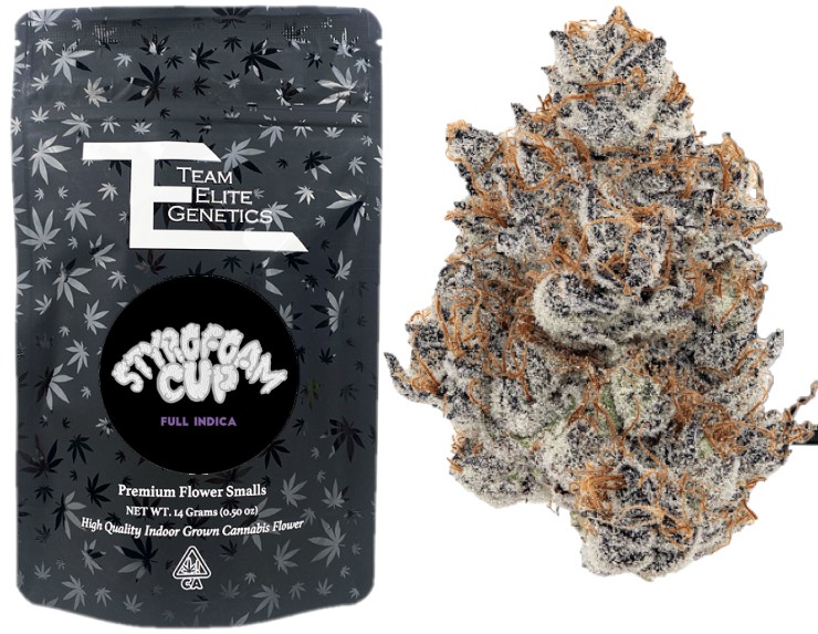 Team Elite Genetics: Styrofoam Cup