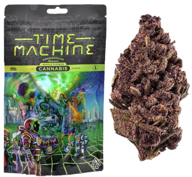 Time Machine: Purple Tangie