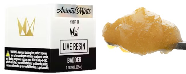 WCC: Animal Mints