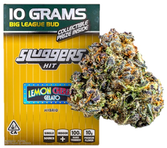 Sluggers — LEMON CHERRY GELATO -