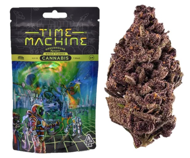Time Machine: Purple Tangie