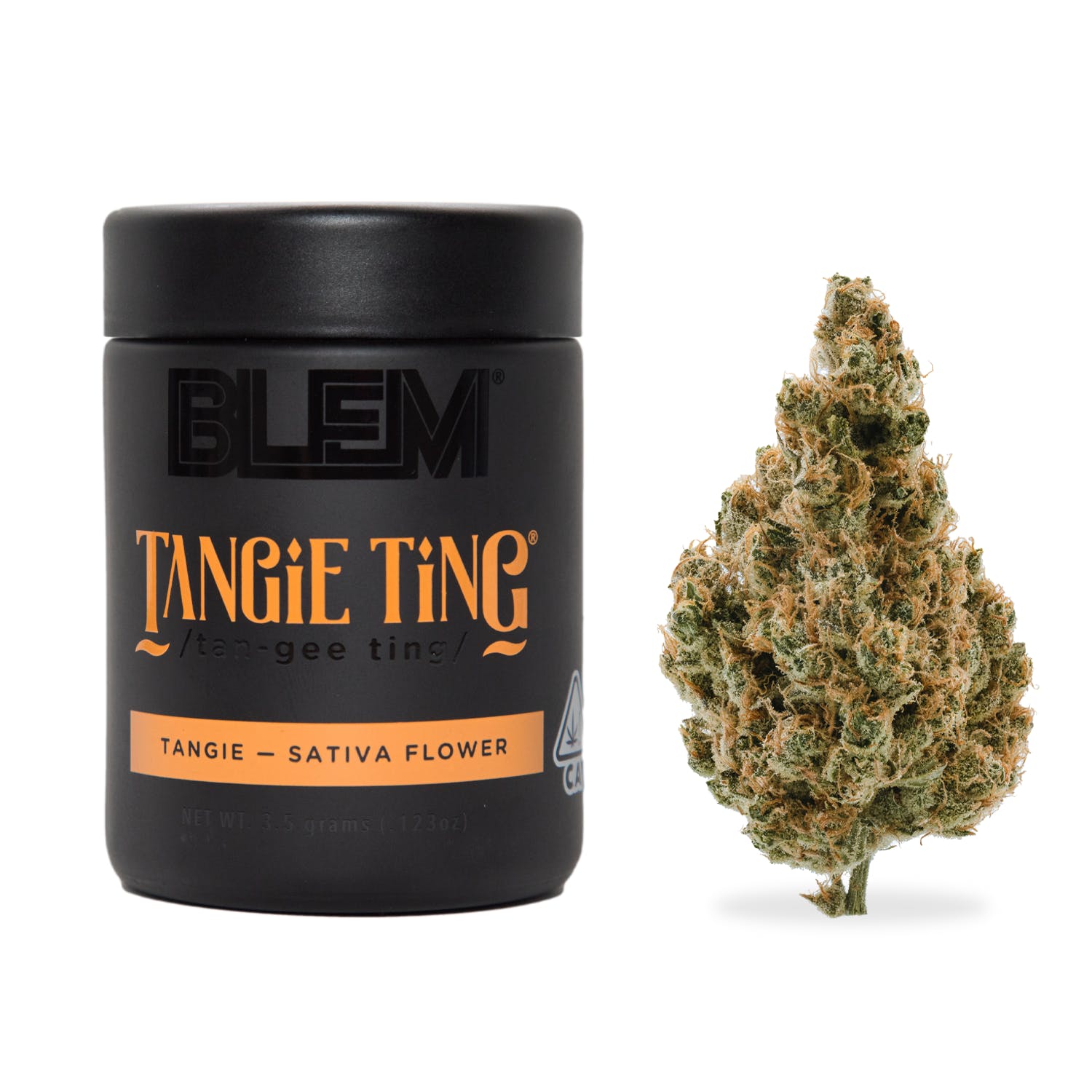 BLEM — TANGIE TING -
