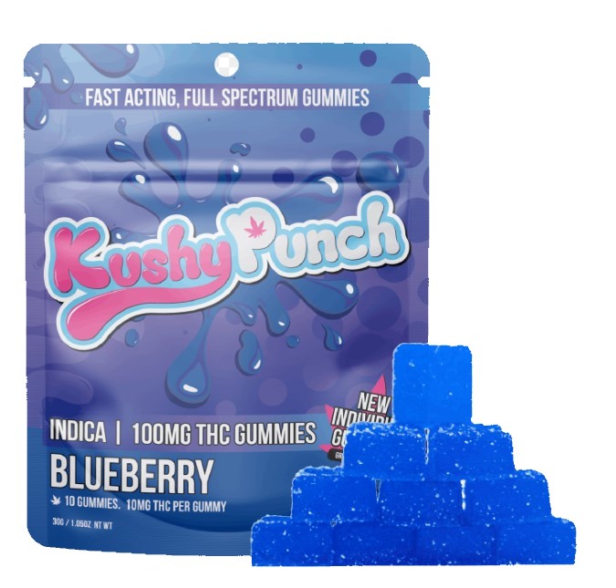 Kushy Punch — BLUEBERRY - 100MG INDIVIDUAL