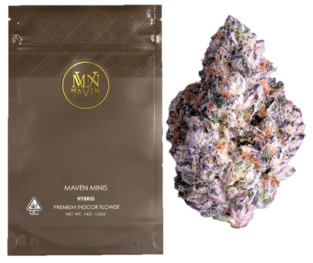 Maven Genetics — SHANGRI LA -
