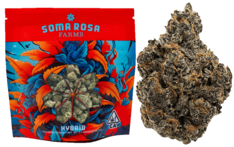Soma Rosa — PERMANENT MARKER -