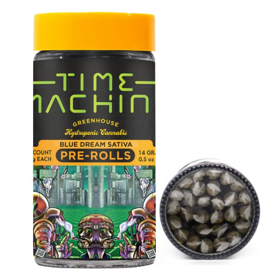 Time Machine: Blue Dream