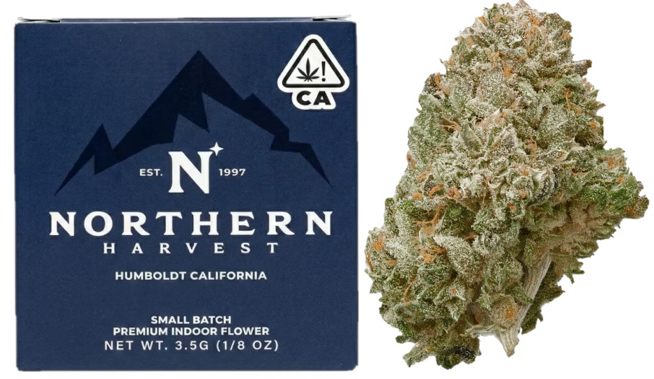 Northern Harvest: SACRED OG -