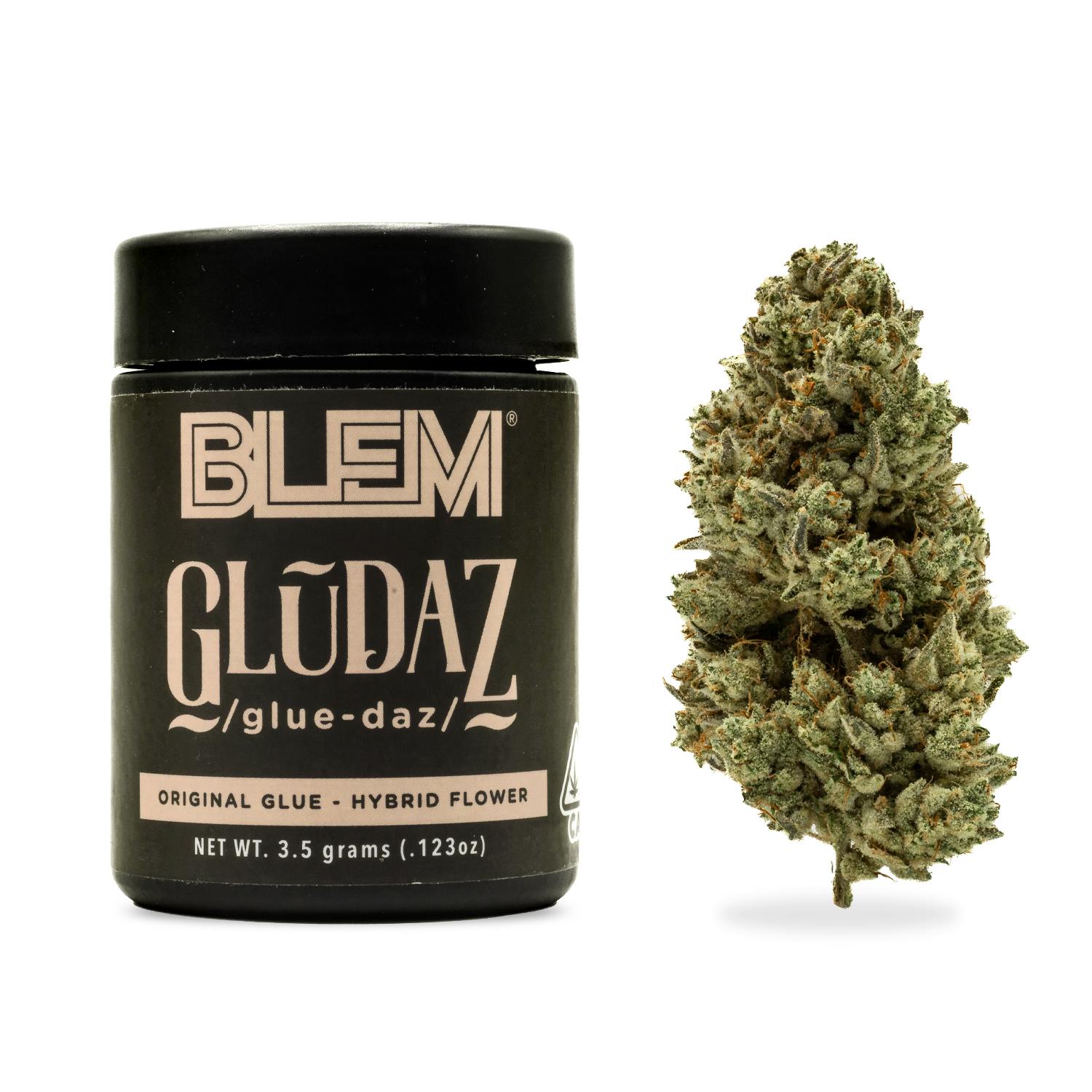BLEM — GLUDAZ -