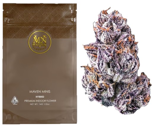Maven Genetics: New Money