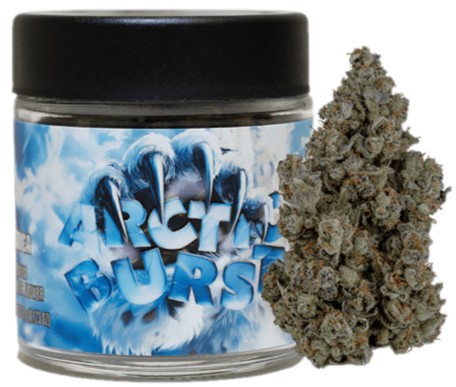 SEED JUNKY: Arctic Burst