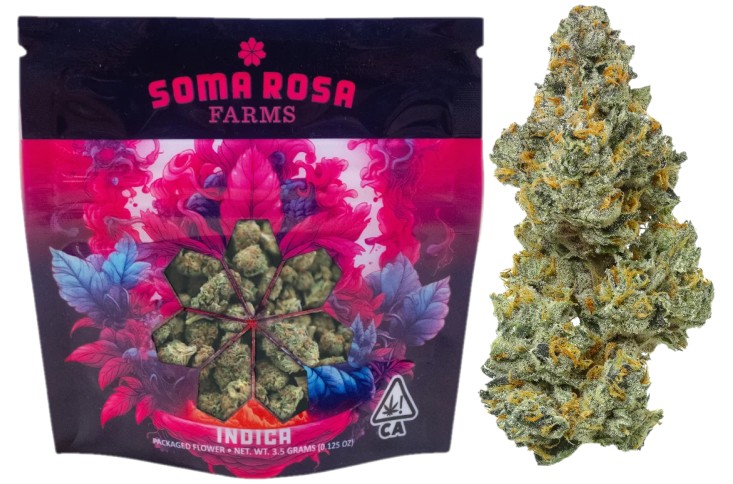 Soma Rosa — BLUE RUNTZ -