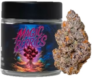 SEED JUNKY: Magic Berries