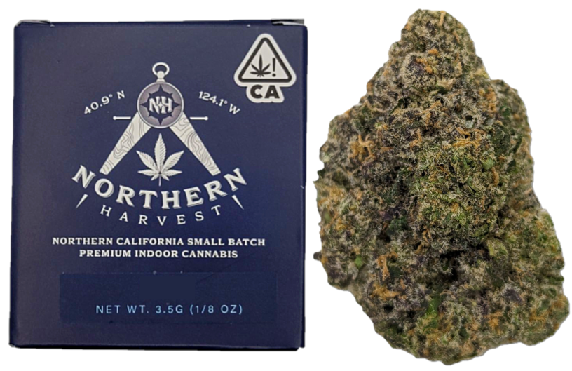 Northern Harvest — PERMANENT RUNTZ -