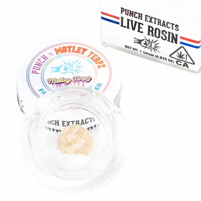 Punch Extracts — PAPAYA TMZ - 1G LIVE ROSIN T4