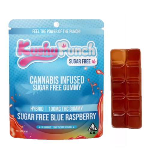 Kushy Punch — BLUE RASPBERRY SUGAR FREE - 100MG GUMMY