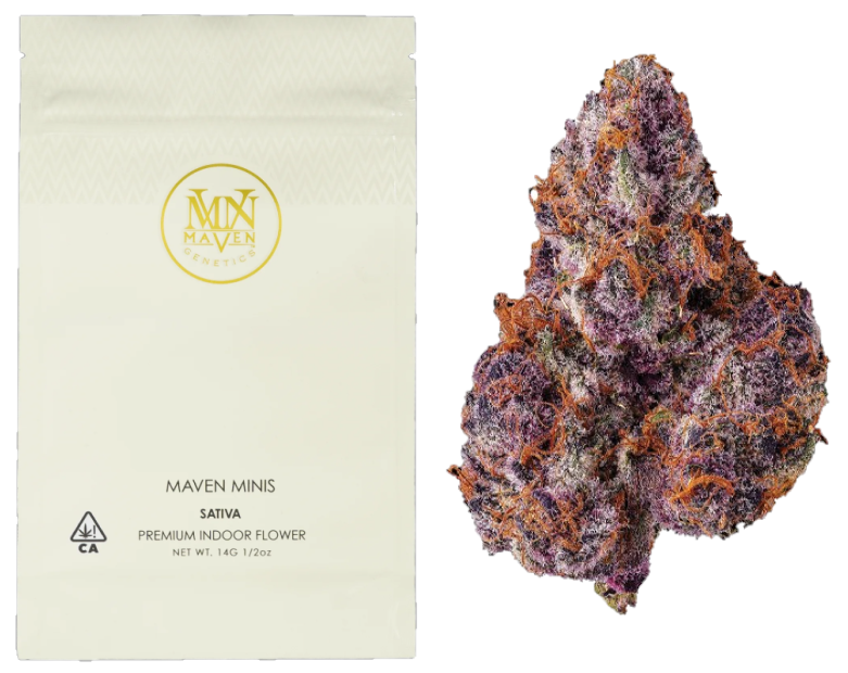 Maven Genetics: LEMON CHERRY TROPICANA -