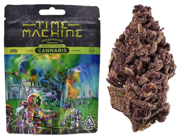 Time Machine: Purple Tangie