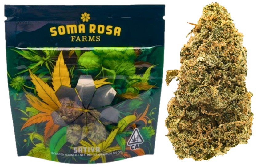 Soma Rosa — DUTCH TREAT -