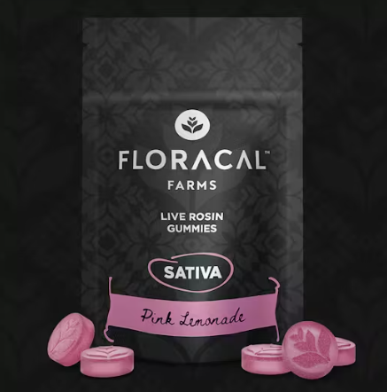 FLORACAL - PINK LEMONADE LIVE ROSIN GUMMIES (10PK) (100MG) (S) - 100 MG