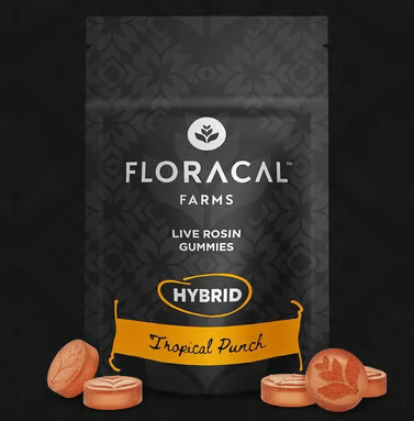 FLORACAL - TROPICAL PUNCH LIVE ROSIN GUMMIES (10PK) (100MG) (H) - 100 MG