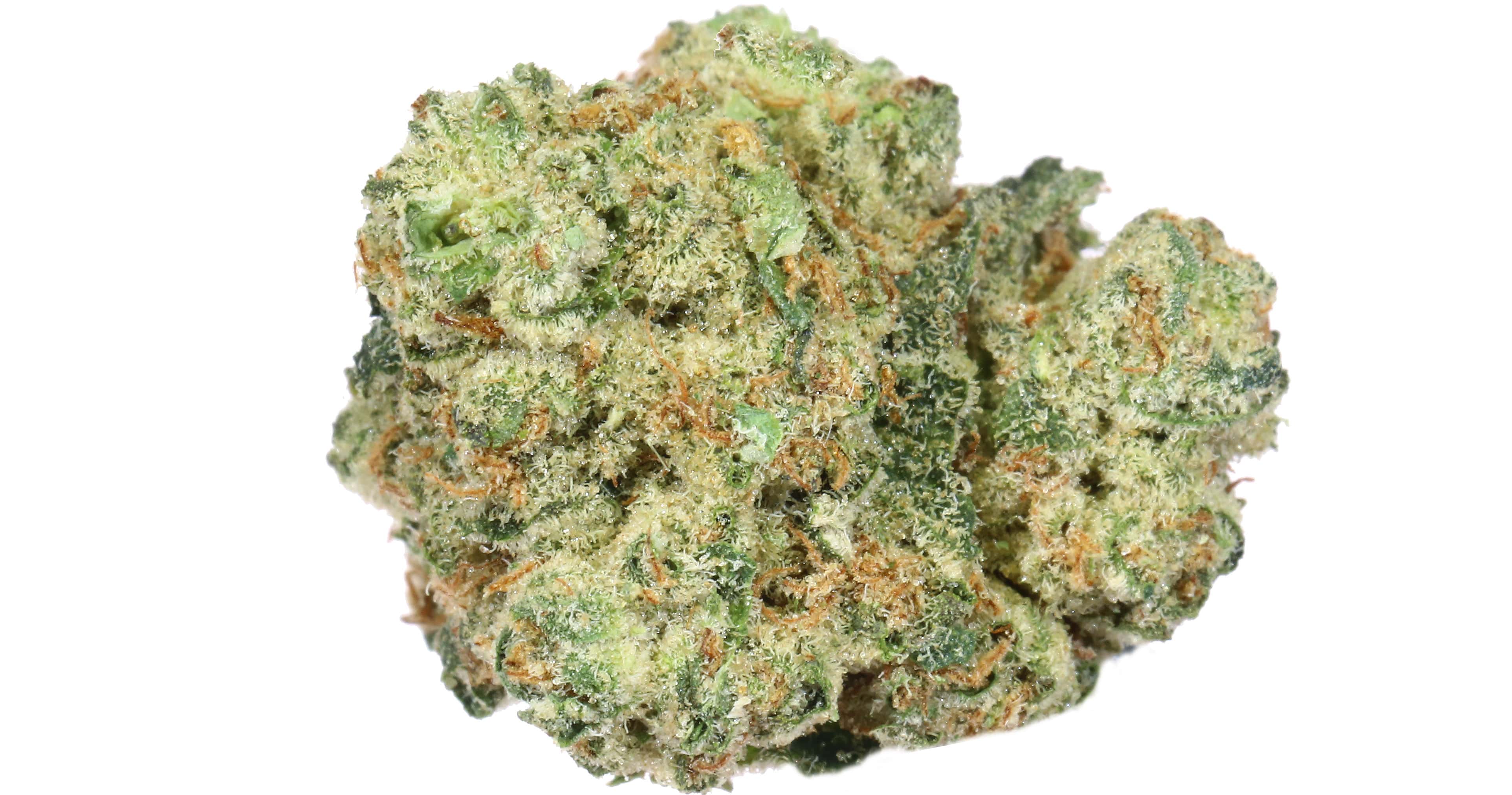TIRAMISU 3.5G FLOWER