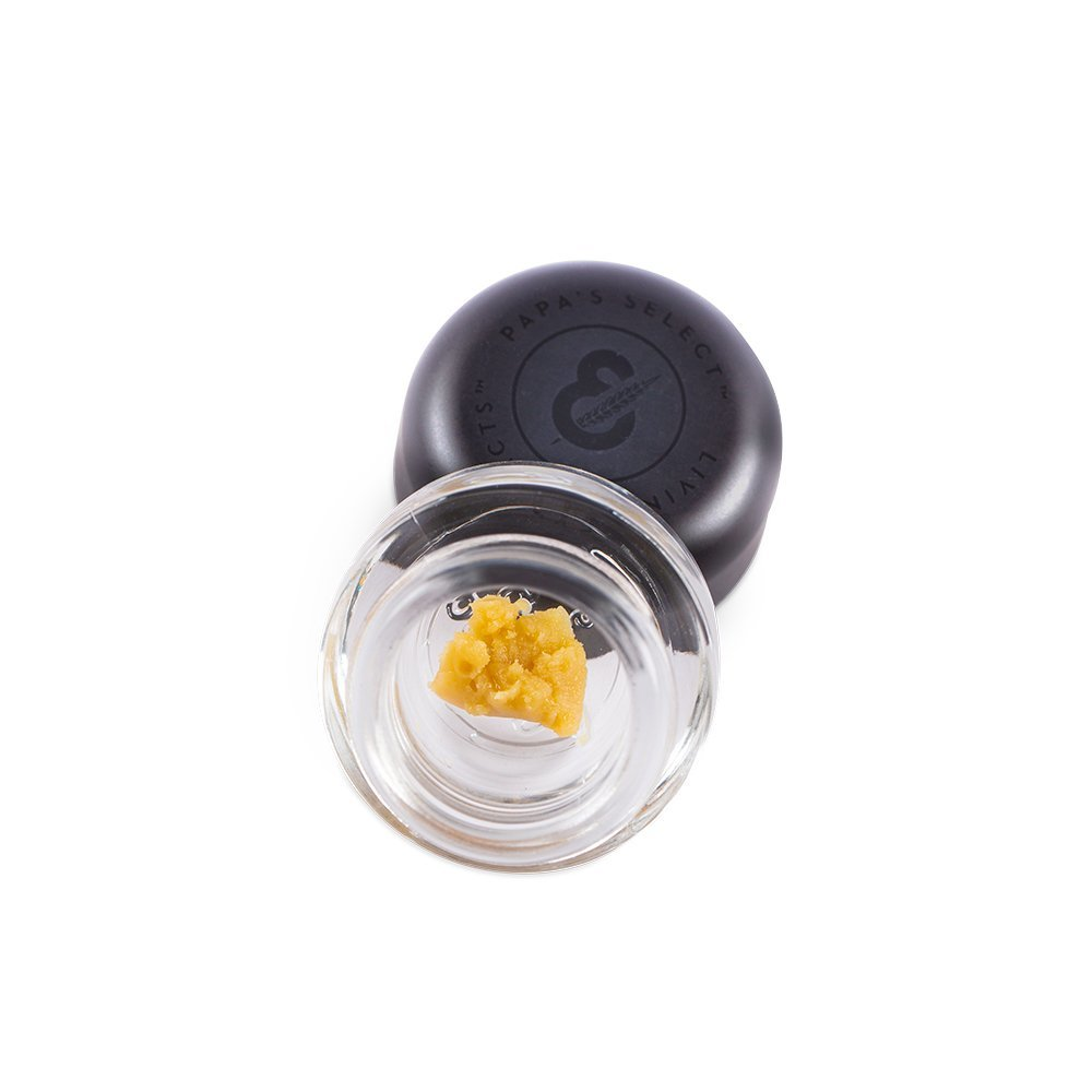 FATSO 1G LIVE ROSIN BADDER
